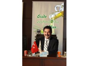 Zeytin Fidanı Dikimine Yasak Yok