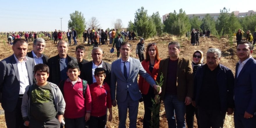MHP Diyarbakır İl Başkanı Kayaalp fidan dikti