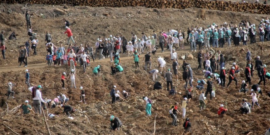 Fethiye’de 10 bin 300 fidan toprakla buluştu