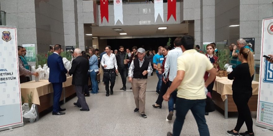 İstanbul Adalet Sarayında bin fidan dağıtıldı