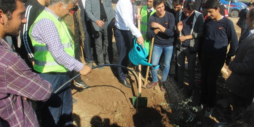 Şanlıurfa’da ‘geleceğe nefes’ için on binlerce ağaç dikildi
