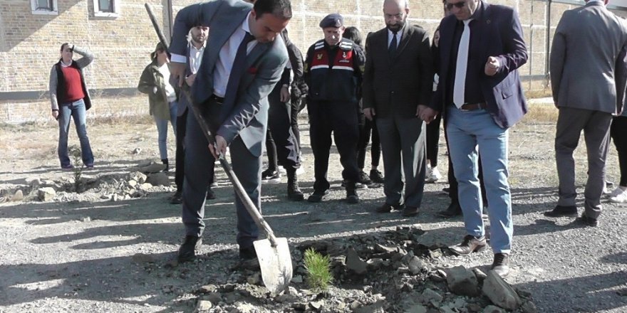 Kulu’da fidanlar toprakla buluşturuldu.