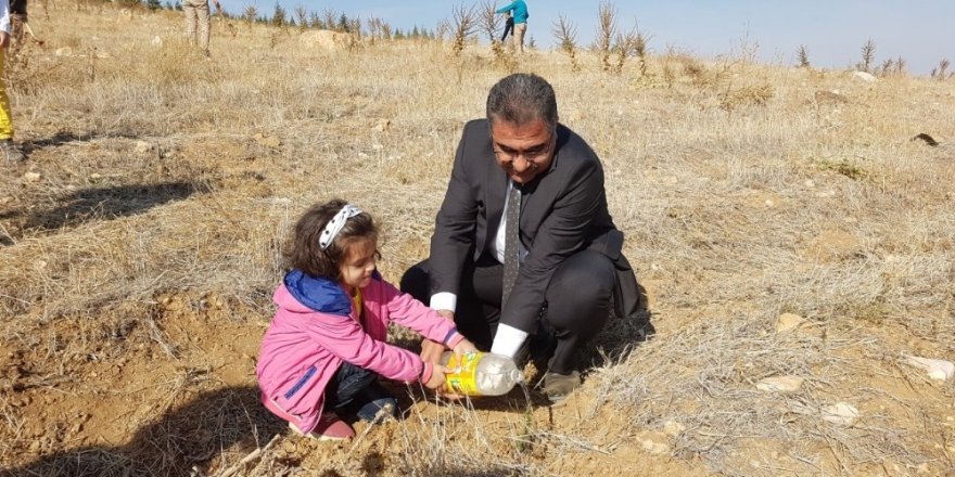 Ilgın, fidan dikimine 50 bin fidanla destek oldu