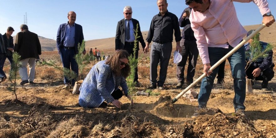 Hüyük’ten ağaçlandırma seferberliğine 20 bin fidan desteği