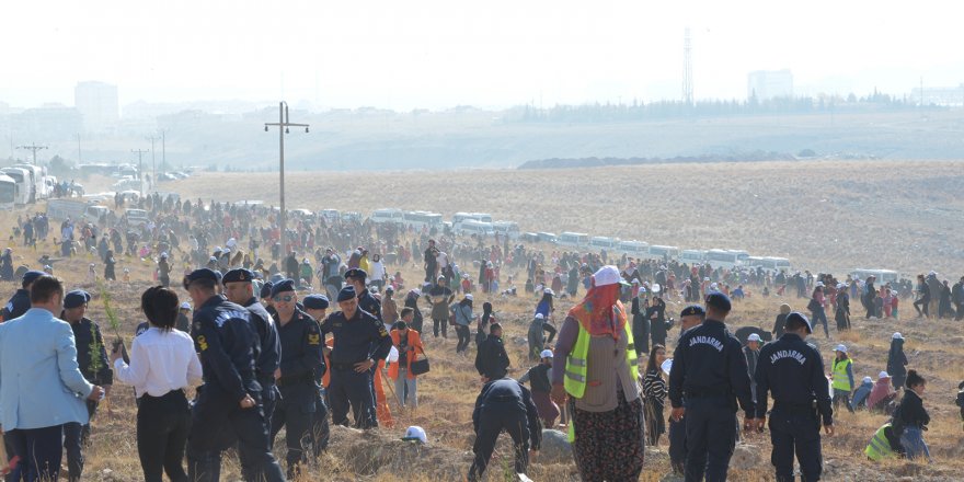 Selçuk kampüsünde binlerce fidan dikildi