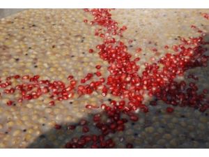 Ergiad 2 Bin Kişiye Aşure Dağıttı