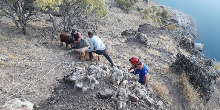 Kayalıklarda mahsur kalan keçiler, 4 saatte kurtarıldı