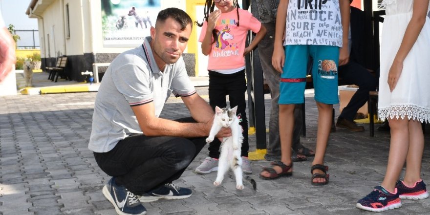 Aksaray Belediyesi sokak hayvanlarına şefkat eli uzatıyor
