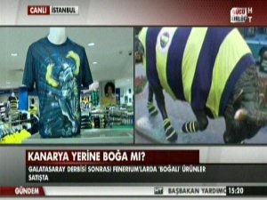Kanarya yerine boğa mı?