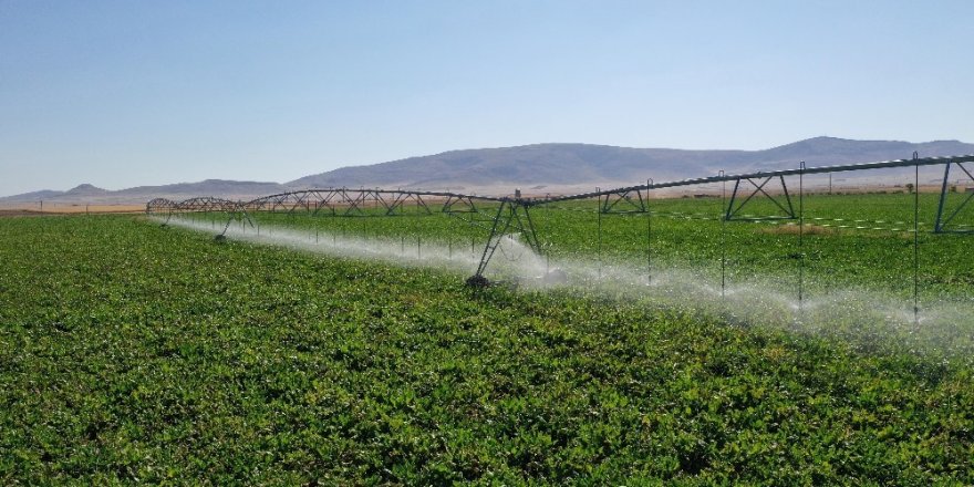 Konya’da 1 milyon 224 bin dekar tarım arazisi sulandı