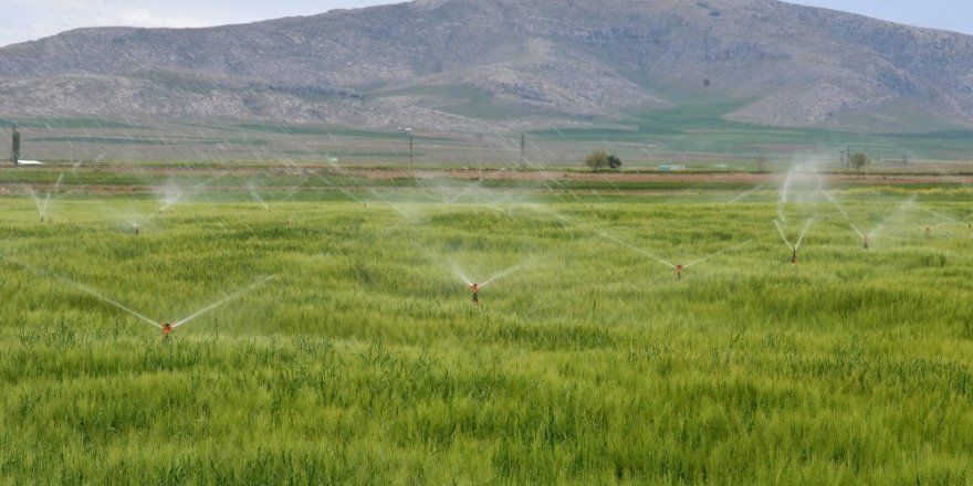 Aksaray’da 129 bin 500 dekar tarım arazisi sulandı