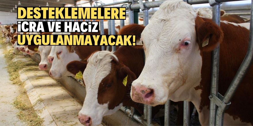 Hayvancılık destekleme tebliği yayımlandı