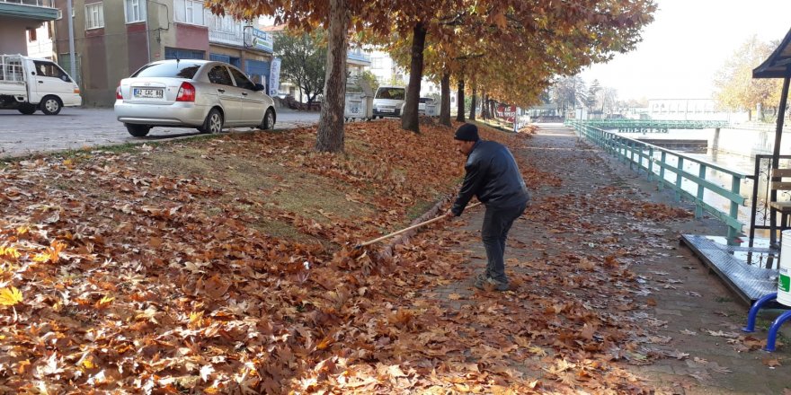 Beyşehir’de yaprak toplama mesaisi