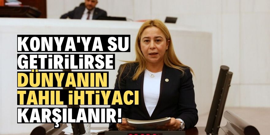 MHP’li Kara: Tarım politikası gözden geçirilmeli!