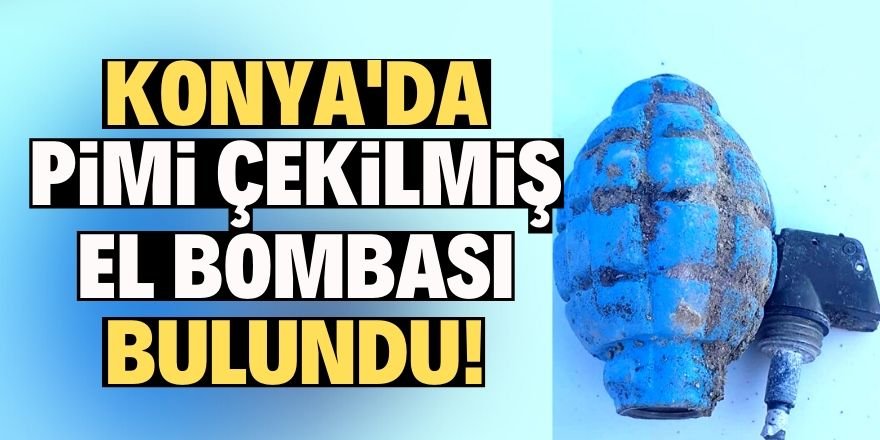 Çöplükte pimi çekilmiş el bombası bulundu