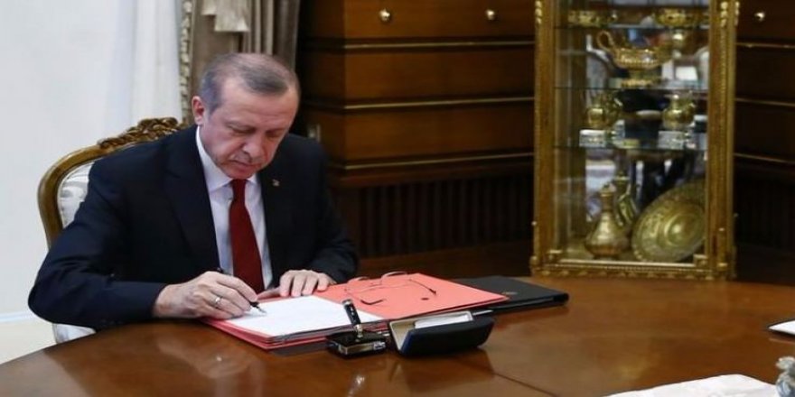 Erdoğan'a yeni danışman!