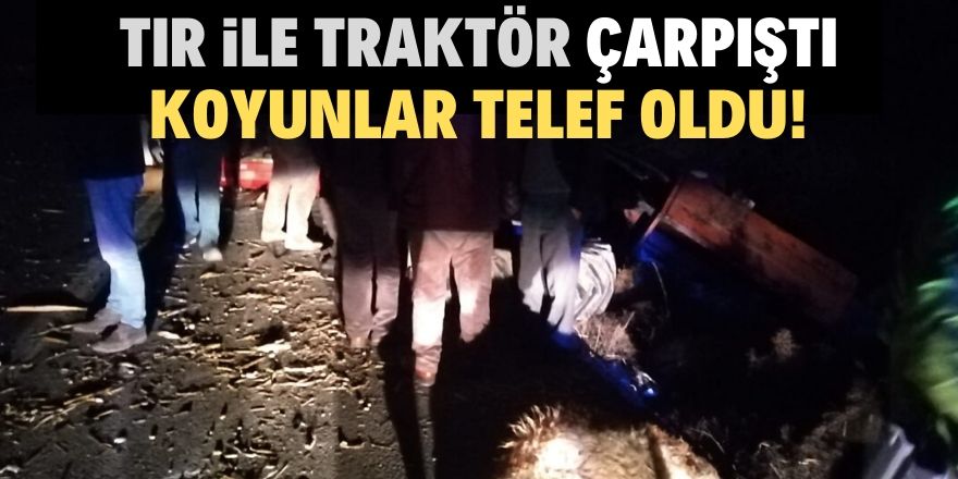 Konya'da tır ile traktör çarpıştı