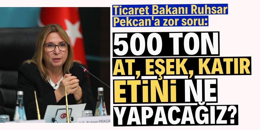 500 ton at, eşek, katır etini ne yapacağız?