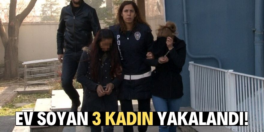 Zile basıp kontrol ettiler, kilitli olmayan evleri soydular