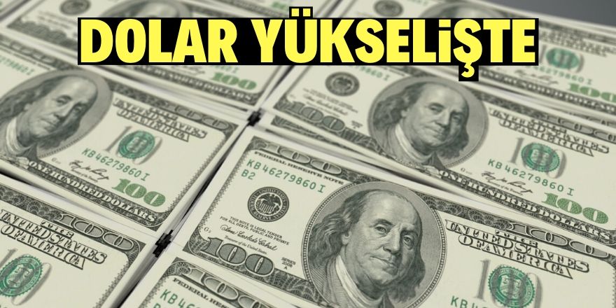 Dolar son 7 ayın en yüksek seviyesinde