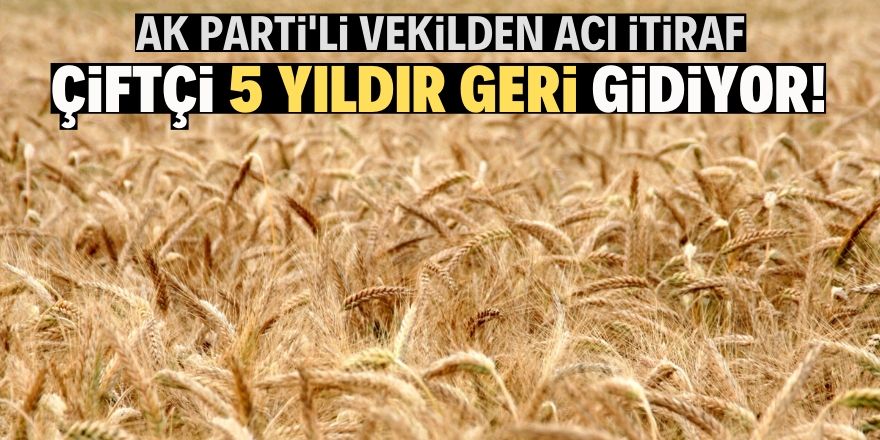 Çiftçi 5 yıldır geri gidiyor!