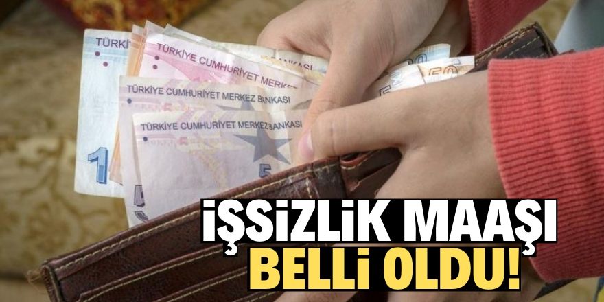 İşte 2020 işsizlik maaşı