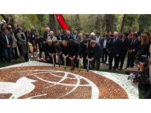 Dostluk Lalesi İstanbul'da Toprakla Buluştu