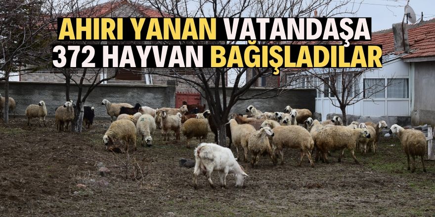 240 hayvanı telef olan üreticiye 372 havyan bağışladılar