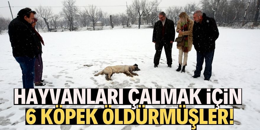 Çiftlikteki hayvanları çalmak için 6 köpeği öldürmüşler