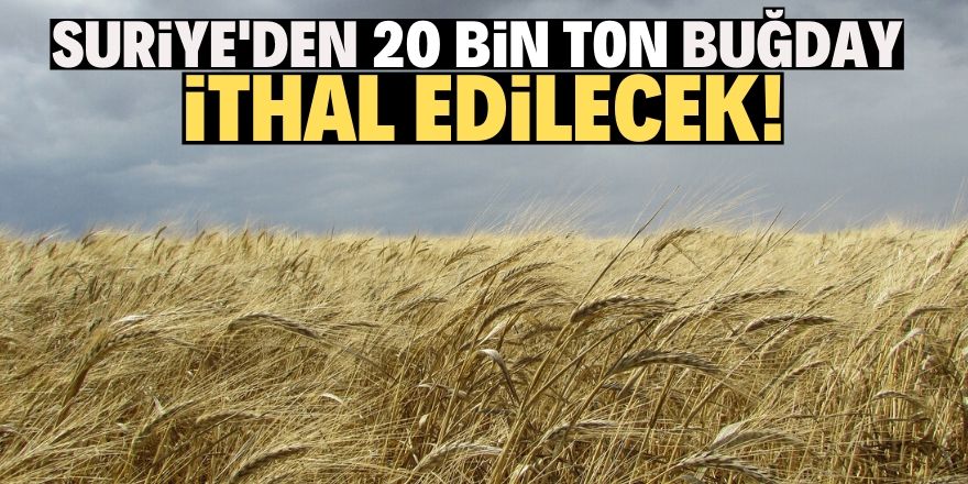 TMO Suriye’den 20 bin ton buğday ithal edecek!