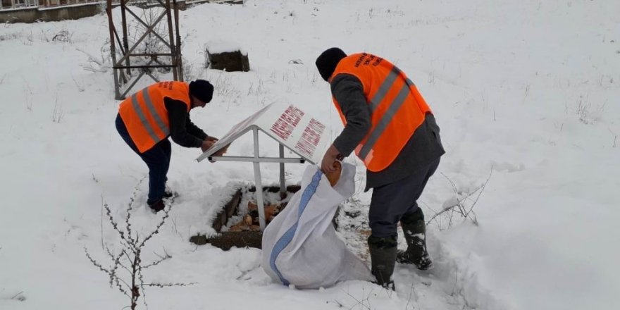 Akşehir Belediyesi sokak hayvanlarını beslemeyi Sürdürüyor