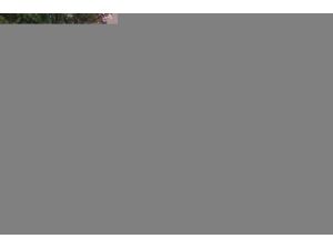 Bafra'da Şüpheli Paket Paniği