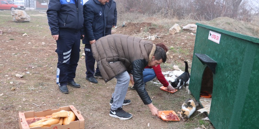 Beyşehir'de sokak hayvanları için beslenme alanlarına yiyecek bırakıldı