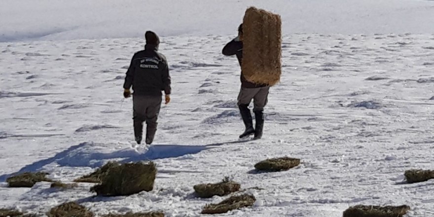 Yaban hayvanları için doğaya 1 ton kuru yonca bırakıldı