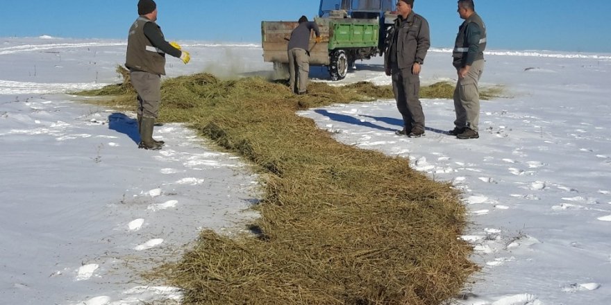 Konya’da yaban hayvanları için kar üzerine yem bırakıldı