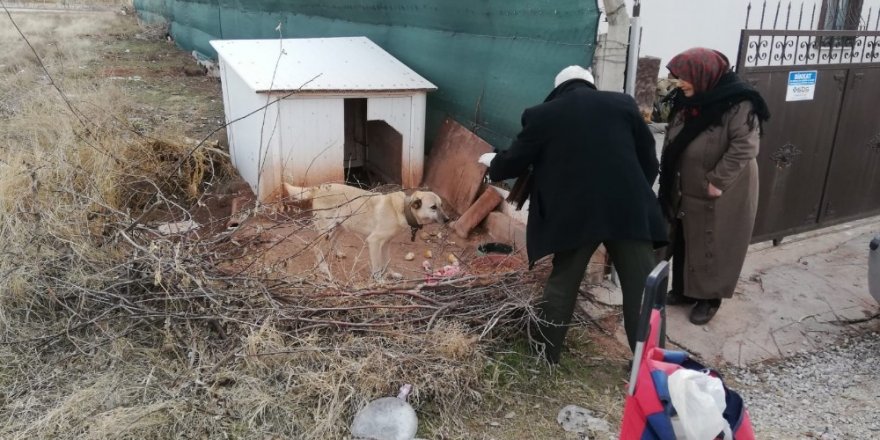 Aksaray’da 20 yıldır pazar arabasıyla hayvanlara yiyecek taşıyor