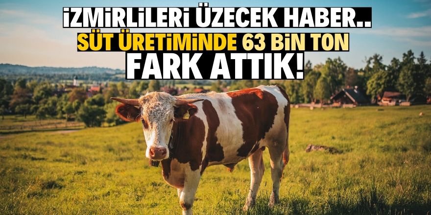 Süt üretiminde hesaplar tutmadı