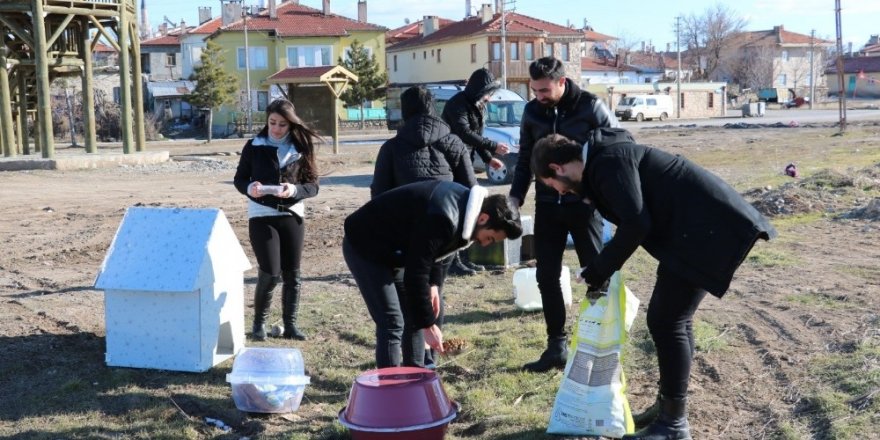 Üniversite öğrencilerinden sokak hayvanlarına “sıcak bir yuva” projesi