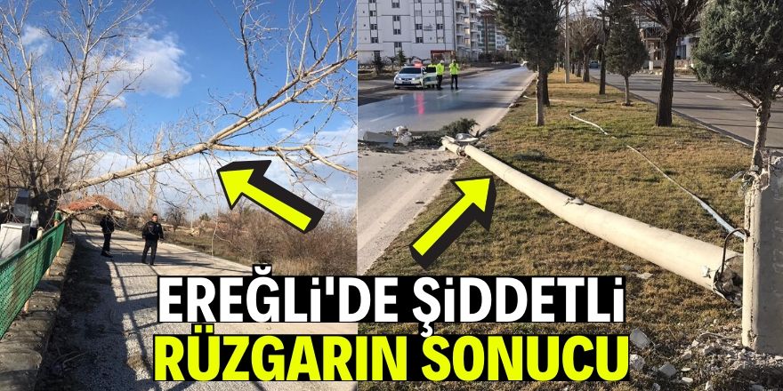 Şiddetli rüzgar direk ve ağaçları devirdi