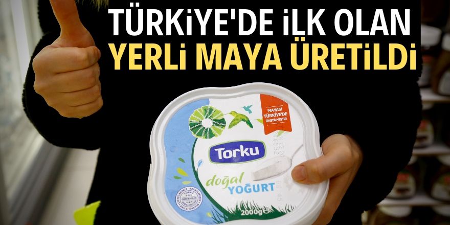 Torku yoğurt mayası üretti