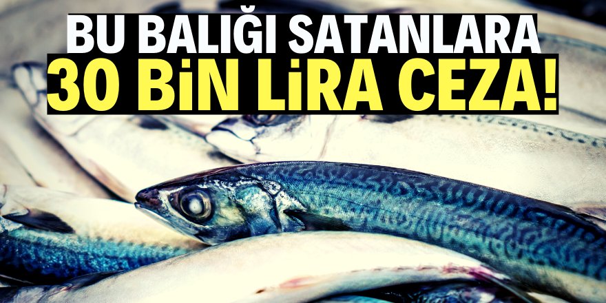 Bu balığın satışına 30 bin lira ceza yazıldı!