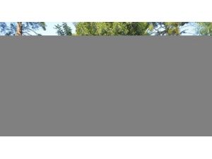 İzmir'deki Hasanağa Bahçesi Açıldı