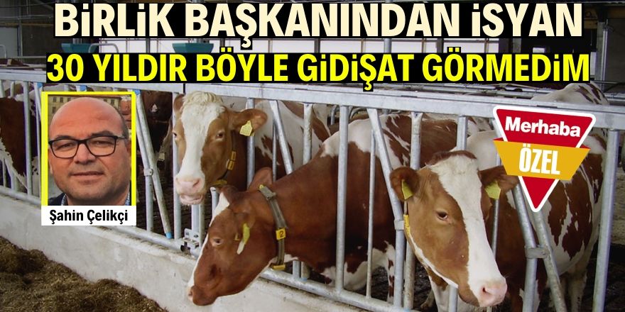 Üretim yüzde 25 azaldı!