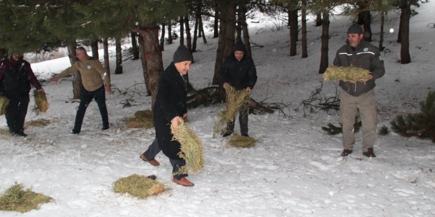 Akşehir’de yabani hayvanlar için doğaya yem bırakıldı