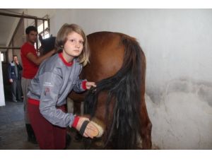 Atçılık Bölümü Öğrencisi Kızlar, Ahır Temizliyor, Atlarla Konuşuyor