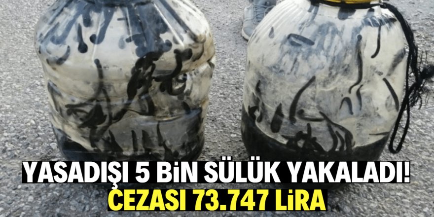 Yasadışı sülük avına 73 bin lira para cezası