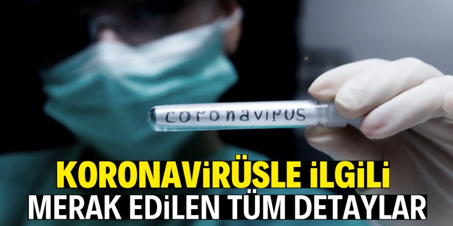 Koronavirüs salgınında güncel durum ve gelecek tahminleri