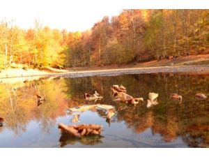 Bolu, 'Doğa Turizmi' İle Tanıtılacak