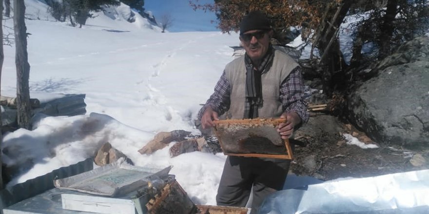 Hadimli arıcılar bahar bakımına başladı