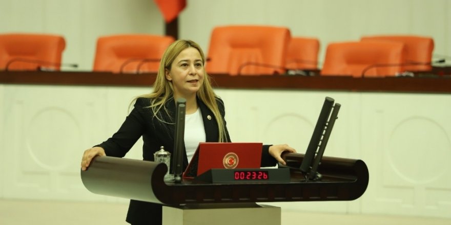 MHP’li Esin Kara: "Sözleşmeli Devlet Tiyatroları personeli kadroya alınmalı"